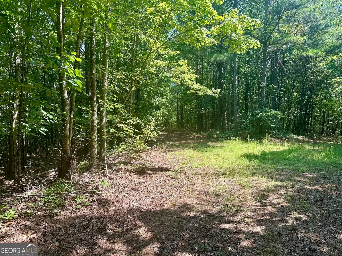 40 Patriot View Drive, Dahlonega, GA 30533 - #1