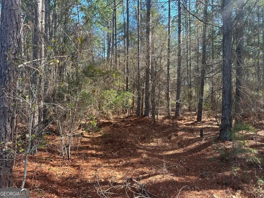 0 Old Dixie Hwy North, Newington, GA 30446 - #3