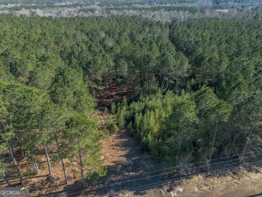 LOT 1 Ben Giddens Road, Eastman, GA 31023 - #3