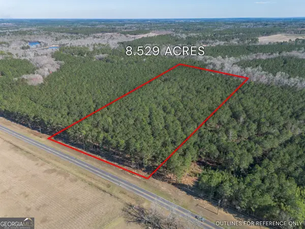 LOT 2 Ben Giddens Road, Eastman, GA 31023