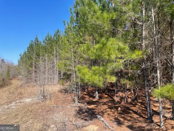 0002 Winchester, Sylvania, GA 30467