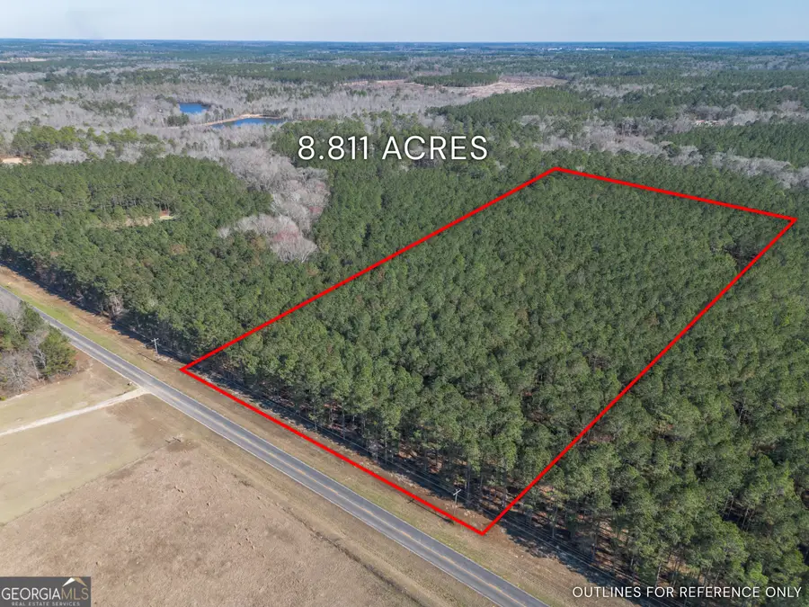 LOT 3 Ben Giddens Road, Eastman, GA 31023 - #2