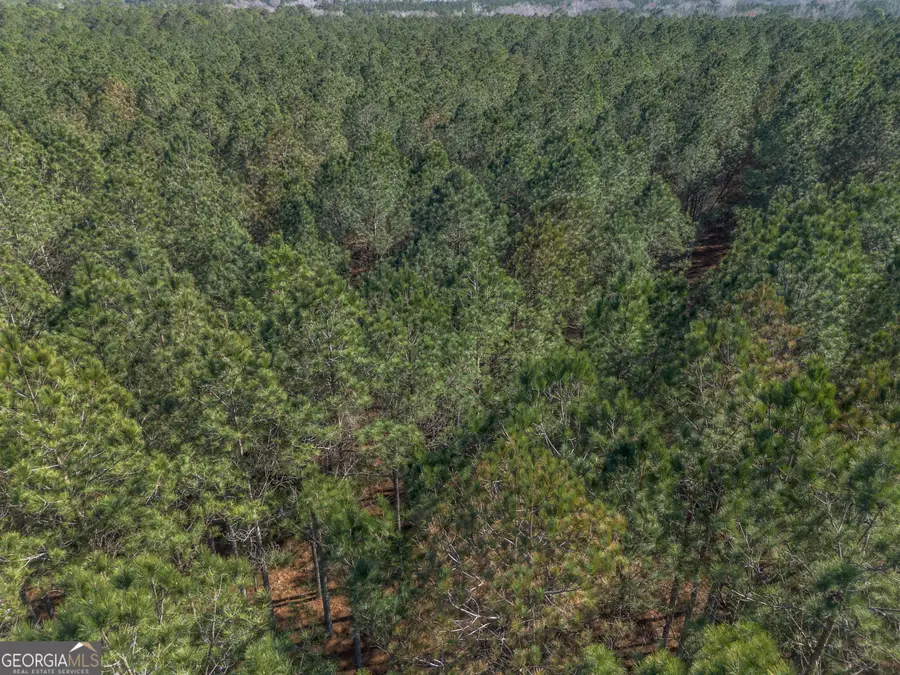 LOT 3 Ben Giddens Road, Eastman, GA 31023 - #3