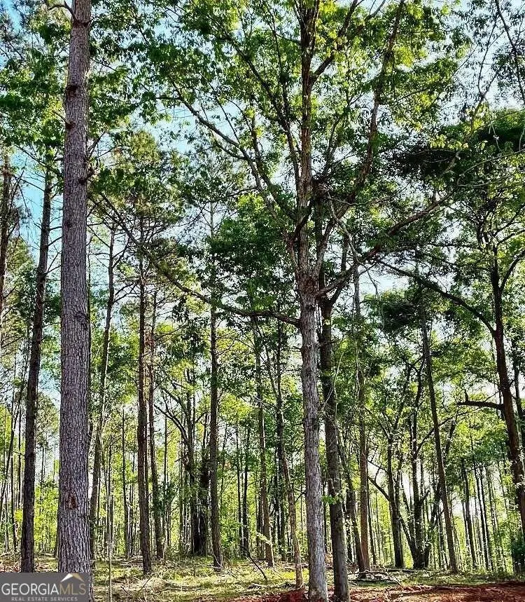 1660 Watkins Farm Road, Nicholson, GA 30565 - #1