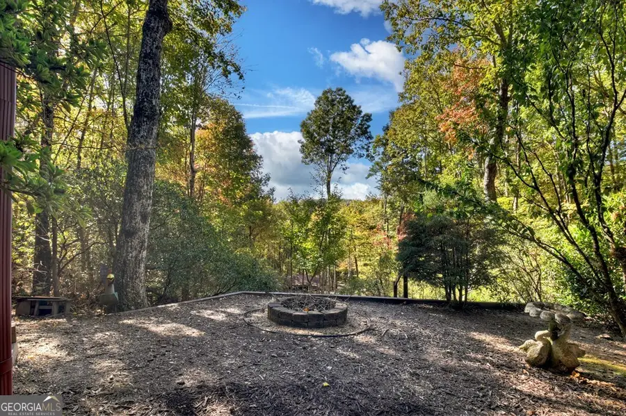 240 Lower Prince Mountain Road, Cherry Log, GA 30522 - #3