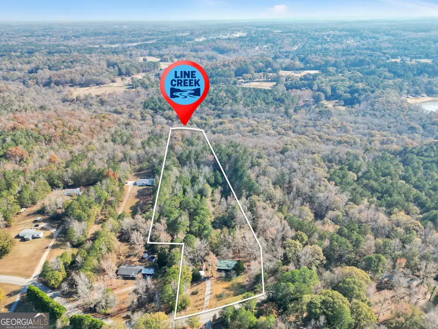 195 Goodlin Road, Palmetto, GA 30268 - #2