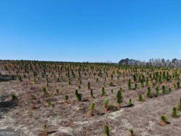 0 Airport Road, McRae-Helena, GA 31037