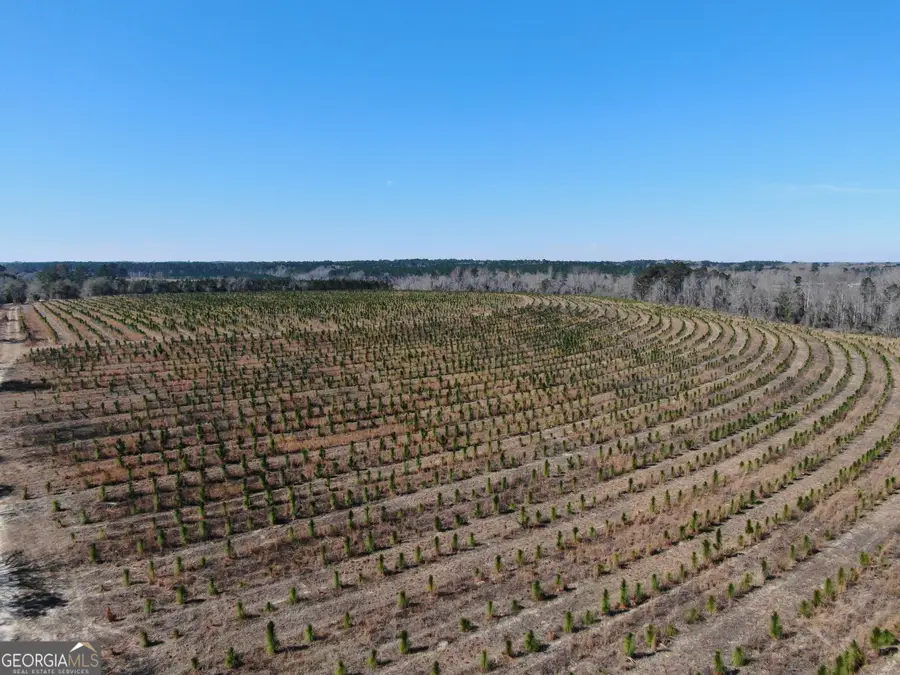 0 Airport Road, Helena, GA 31037 - #2