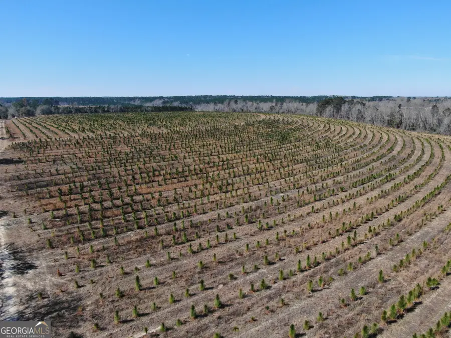 0 Airport Road, Helena, GA 31037 - #3