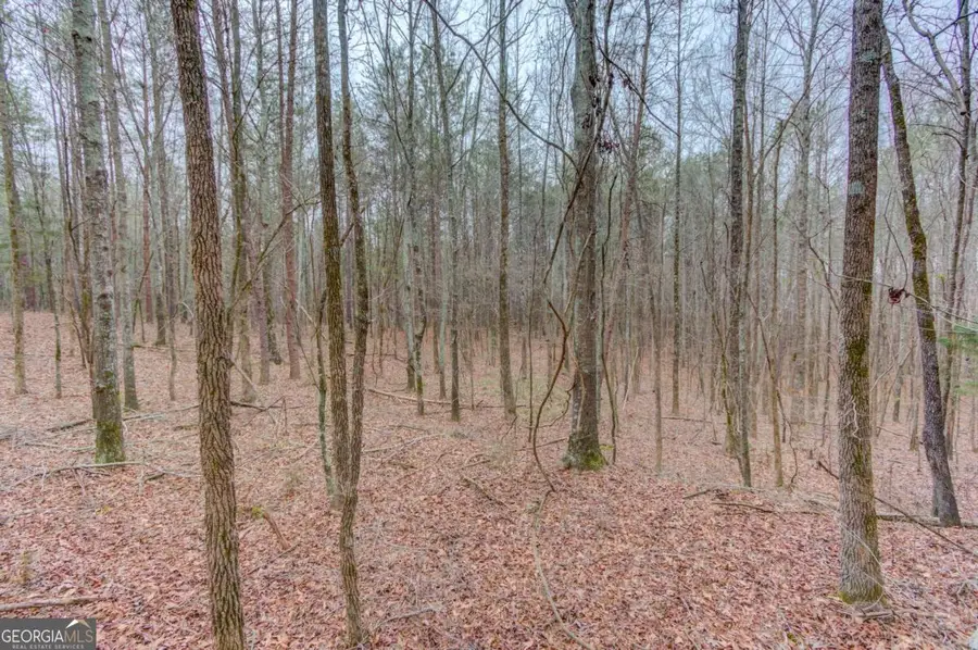 0 Sunshine Road, Toccoa, GA 30577 - #2