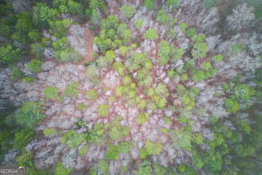 0 Sunshine Road, Toccoa, GA 30577 - #3