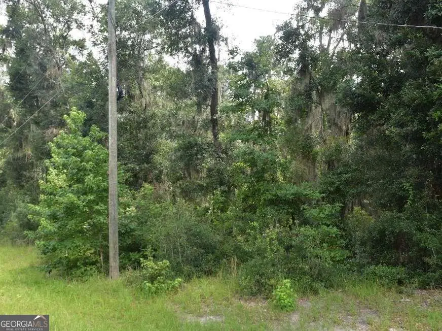 LOT 42 Japonica Drive, Midway, GA 31320 - #1