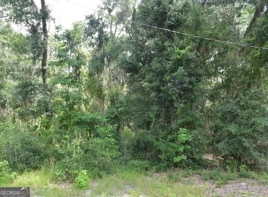 LOT 42 Japonica Drive, Midway, GA 31320 - #2