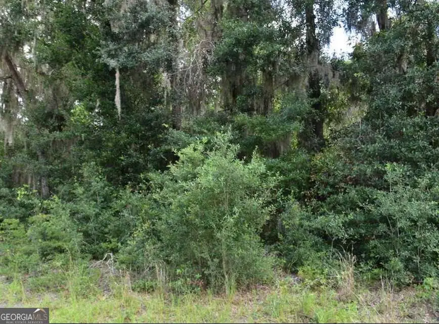 LOT 42 Japonica Drive, Midway, GA 31320 - #3