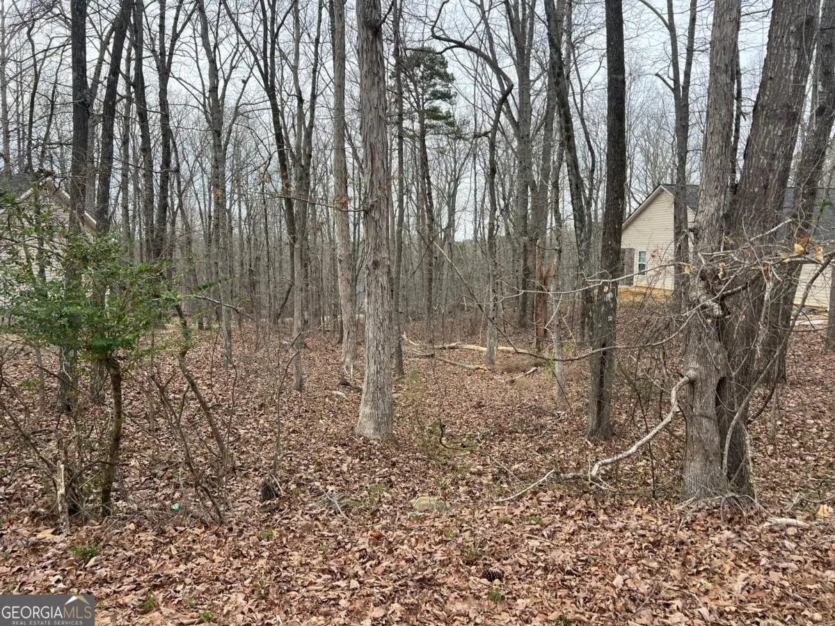 3254 Greenhill Court, Villa Rica, GA 30180 - #1