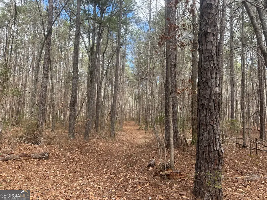 0 Gibson Road, Talbotton, GA 31827 - #2