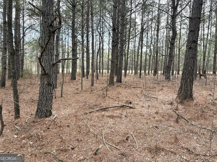 L7 W. Quaker Road, Keysville, GA 30816 - #3