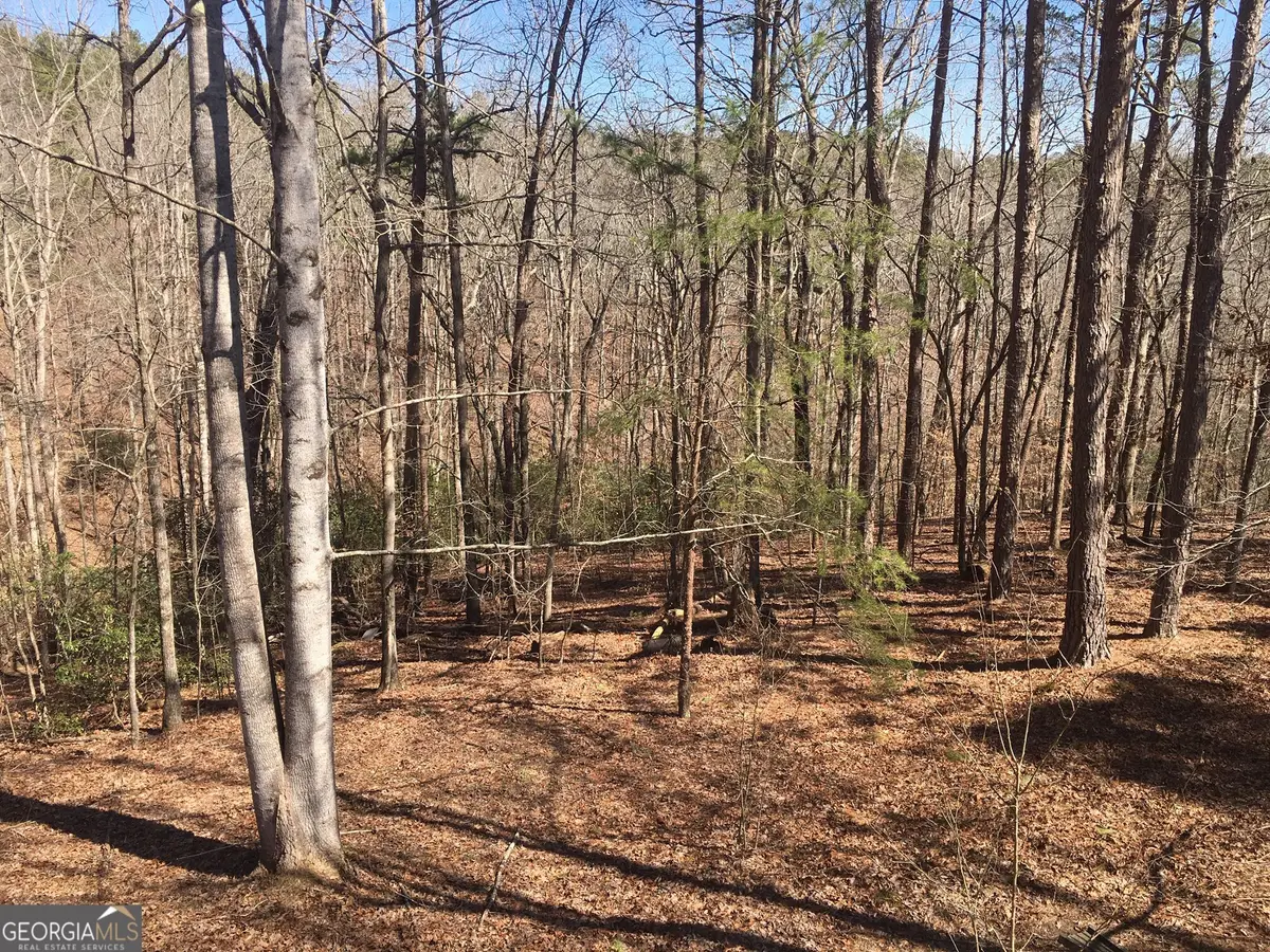 LOT 10 Olivia Lane, Ball Ground, GA 30107 - #1