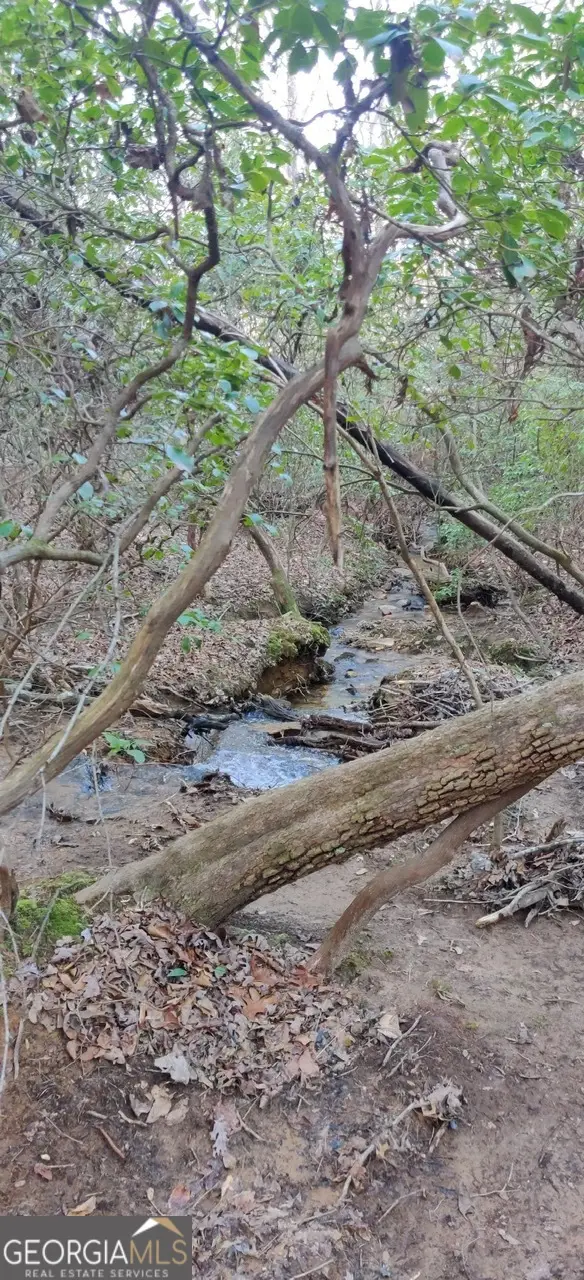 LOT 10 Olivia Lane, Ball Ground, GA 30107 - #3