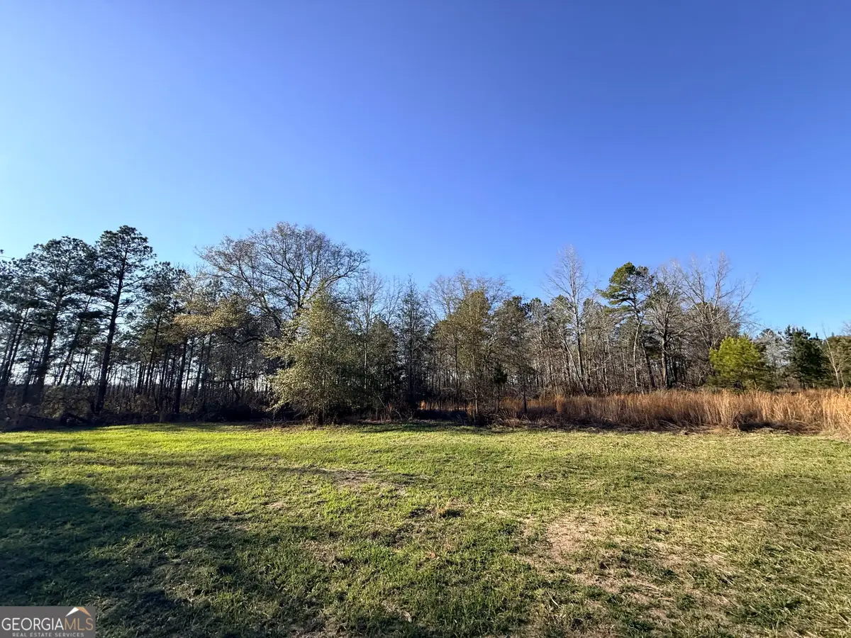 7 Sun Hill Grange Road, Davisboro, GA 31018 - #1