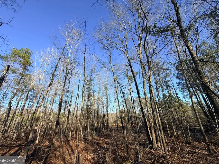 7 Sun Hill Grange Road, Davisboro, GA 31018 - #3