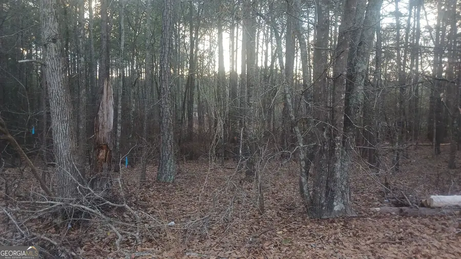 120 Harville Road, Covington, GA 30016 - #2