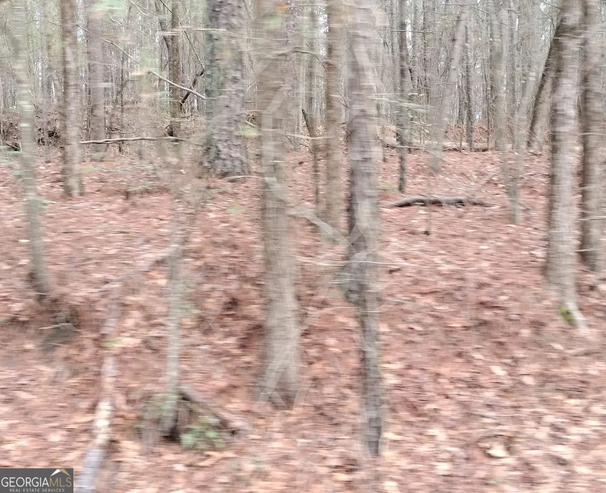 8014 Norris Lake, Snellville, GA 30039 - #1