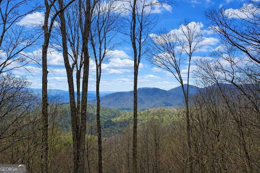 217 Walnut Ridge, Ellijay, GA 30540 - #2