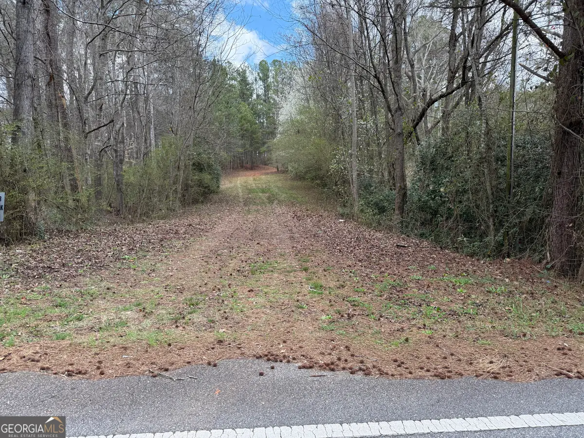 0 Lowery Rd (3.94 Ac), Grantville, GA 30220 - #1
