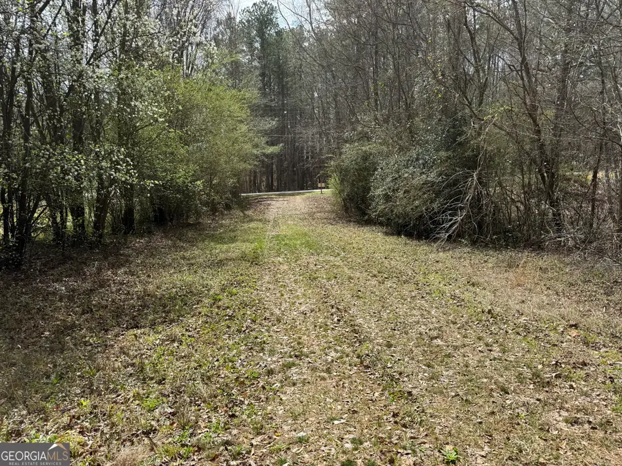 0 Lowery Rd (3.94 Ac), Grantville, GA 30220 - #3