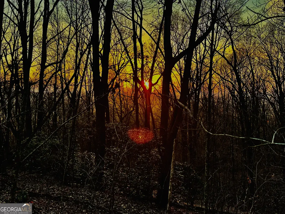 LOT 2 Mount Mincie Road, Murrayville, GA 30564 - #1