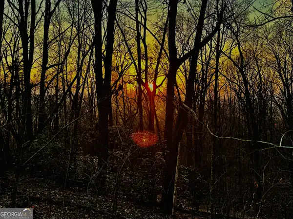 LOT 2 Mount Mincie Road, Murrayville, GA 30564