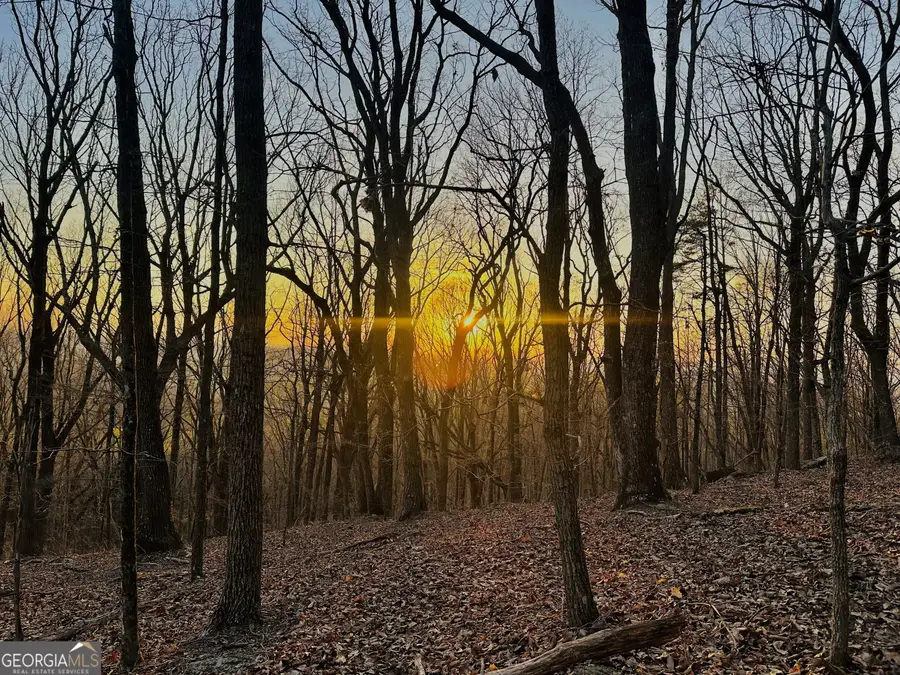 LOT 2 Mount Mincie Road, Murrayville, GA 30564 - #2