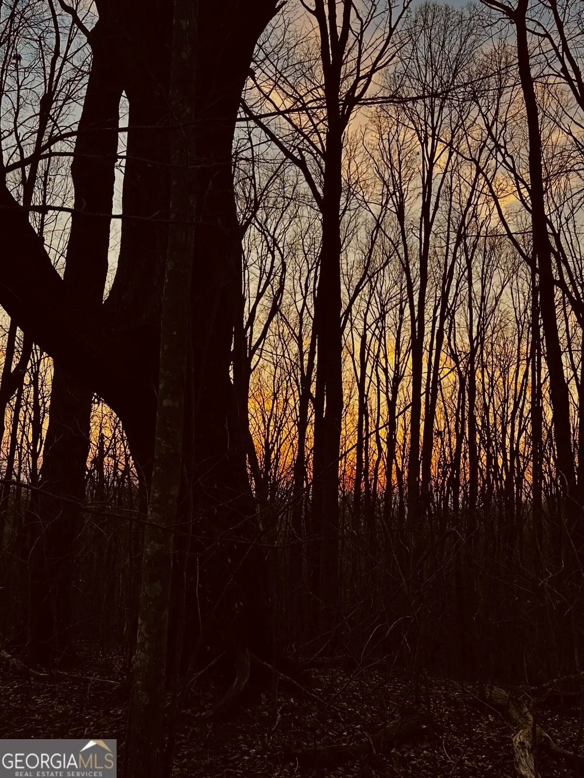 LOT 4 Mount Mincie Road, Murrayville, GA 30564 - #1