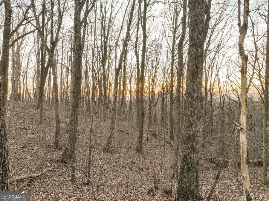 LOT 4 Mount Mincie Road, Murrayville, GA 30564 - #2