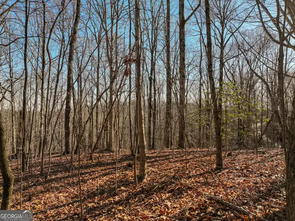 LOT 5 Mount Mincie Road, Murrayville, GA 30564