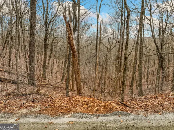 LOT 6 Mount Mincie Road, Murrayville, GA 30564