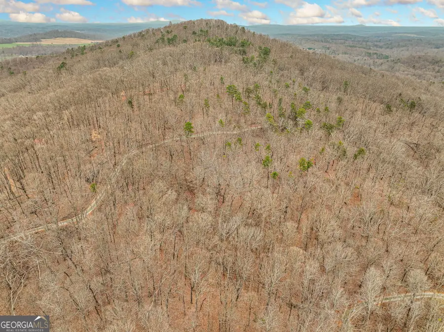 LOT 6 Mount Mincie Road, Murrayville, GA 30564 - #2