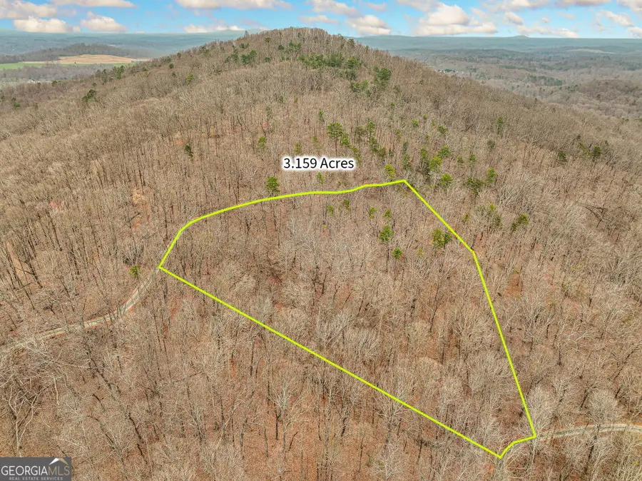 LOT 6 Mount Mincie Road, Murrayville, GA 30564 - #3