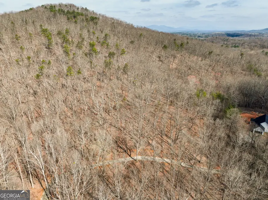 LOT 8 Mount Mincie Road, Murrayville, GA 30564 - #3