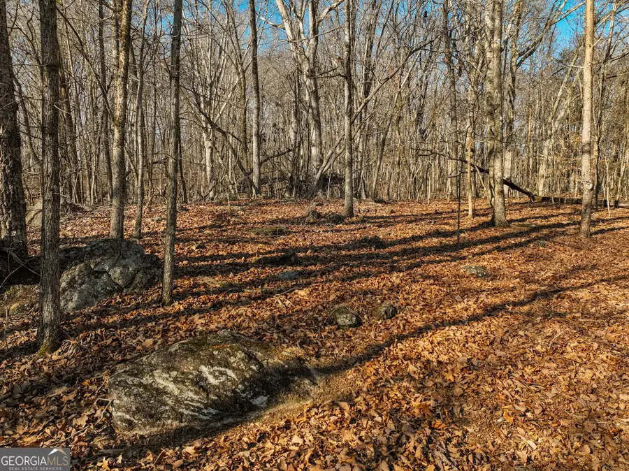LOT 11 Mount Mincie Road, Murrayville, GA 30564 - #2