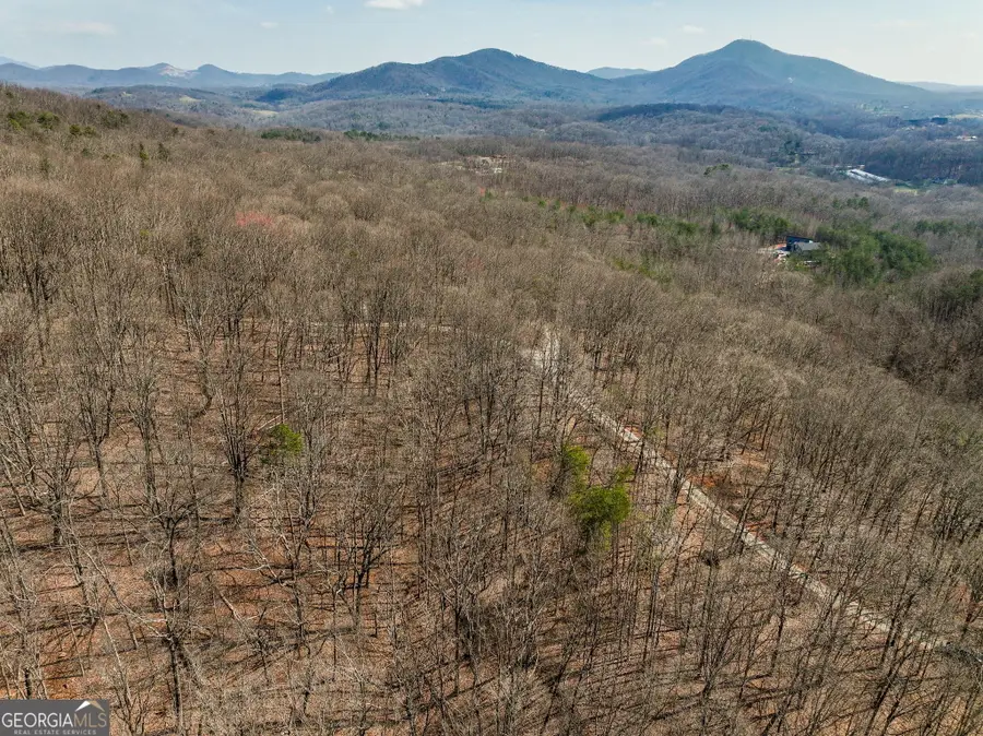 LOT 11 Mount Mincie Road, Murrayville, GA 30564 - #3