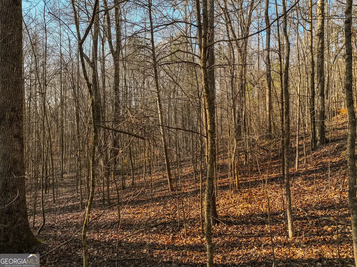 LOT 12 Mount Mincie Road, Murrayville, GA 30564 - #1