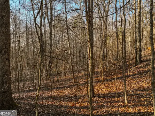 LOT 12 Mount Mincie Road, Murrayville, GA 30564