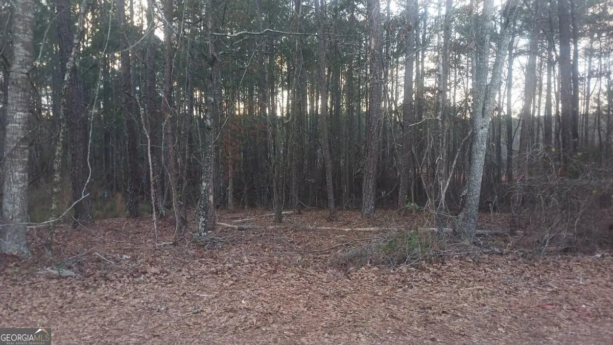 130 Harville Road, Covington, GA 30016 - #1