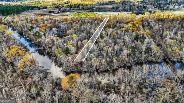 32 Brannen Landing Road, Midville, GA 30441