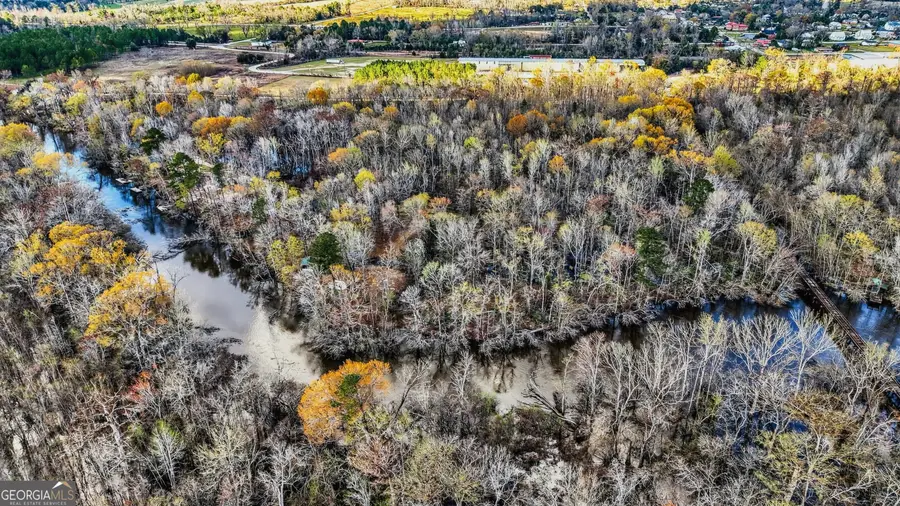 32 Brannen Landing Road, Midville, GA 30441 - #2