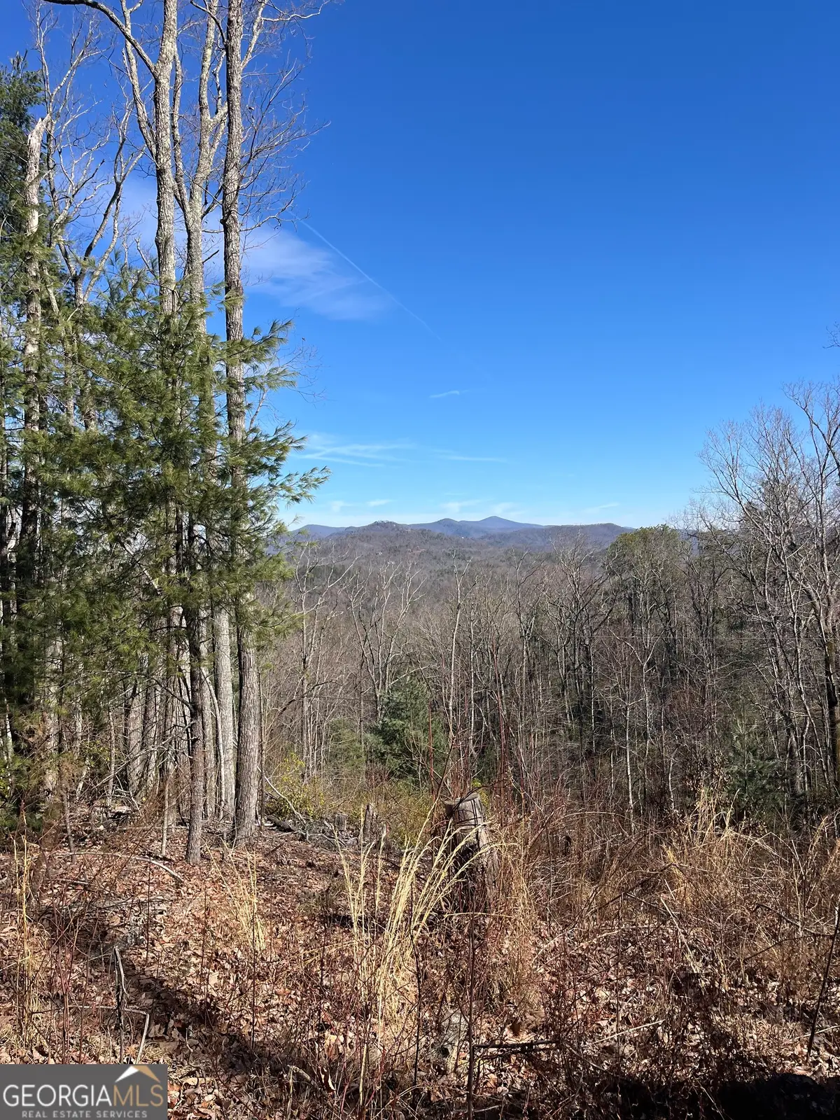 0 Eastman Mtn Road, Tiger, GA 30576 - #1