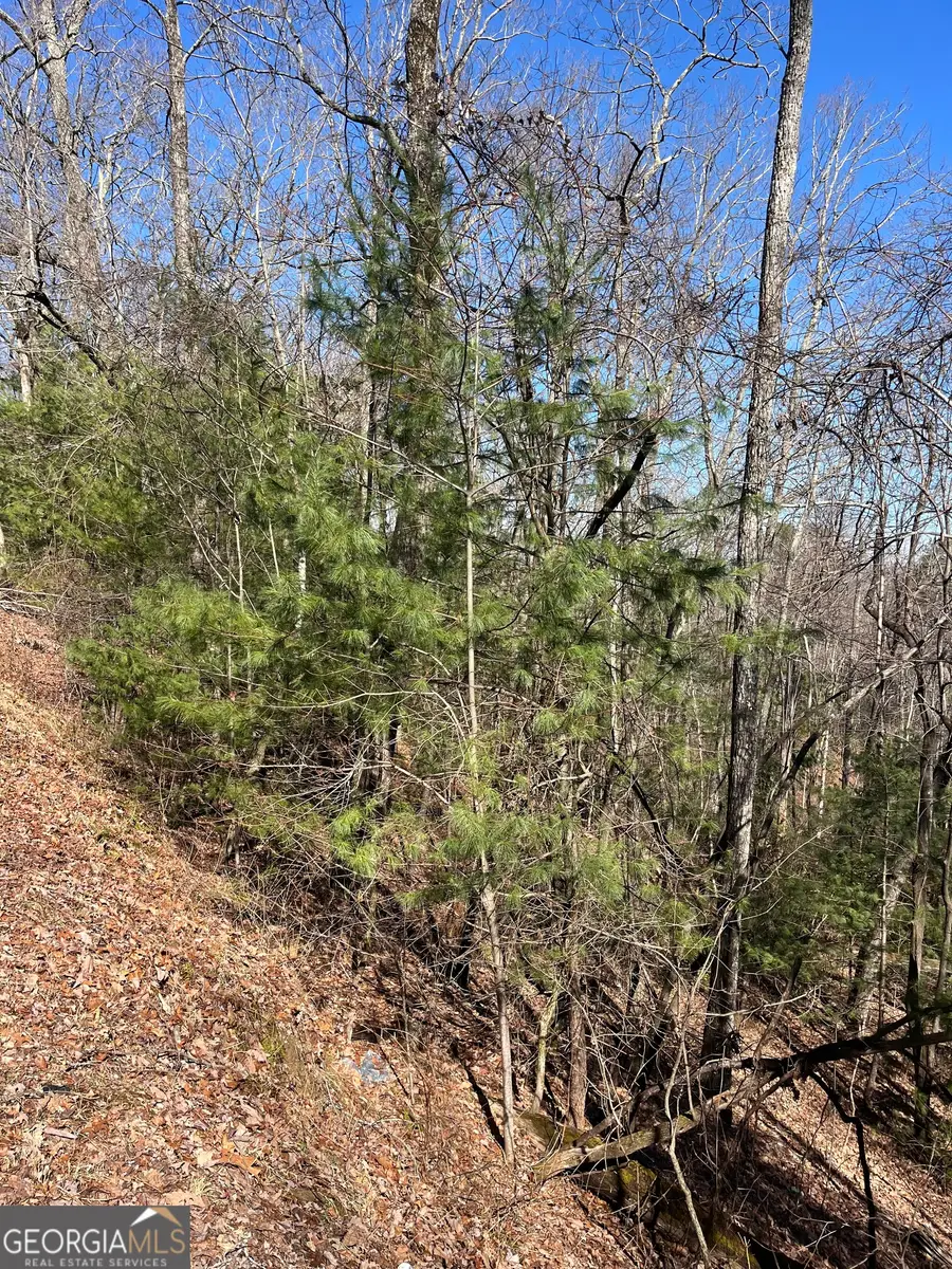 0 Eastman Mtn Road, Tiger, GA 30576 - #3