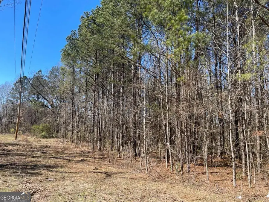 0 Brown Bridge Road, Covington, GA 30014 - #2